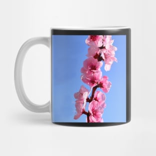 Springtime Mug